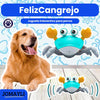 FelizCangrejo - Juguete interactivo para perros
